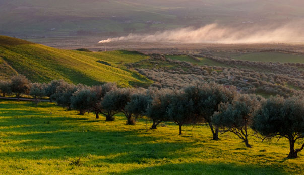 agriturismo toscana